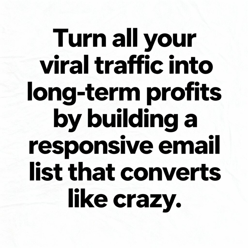 Invisible Traffic System Review 2025